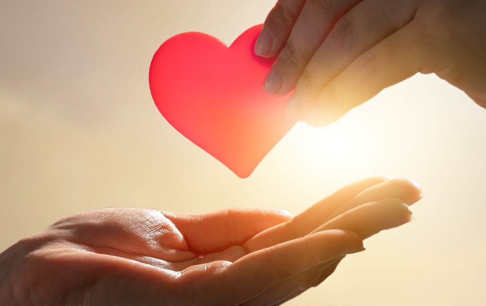 Manos ofreciendo un corazón, símbolo del acompañamiento humano y consciente de Laura López